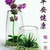 Jacqueline Kee - @31781690193 - TikTok