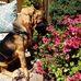 Jacqueline Knapp - Facebook
