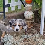Jacqueline Knapp - @jacqueline.knapp.31 - Instagram
