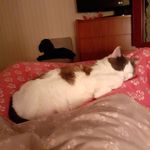 Jacqueline Labat - @jacquotte03 - Instagram