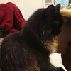 jacquelinelancer - @jacquelinelancer - TikTok