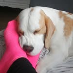 Jacqueline Josten - @jacqueline_landliebe - Instagram