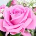 Jacqueline Levasseur - Facebook