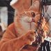 Jacqueline Libby - Facebook