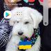 Jackie Luttrell - Facebook