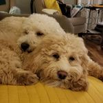 Jacqueline Maher - @jacqueline.maher.94 - Instagram