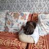 Jacqueline Mallet - @jacqueline.mallet2 - TikTok