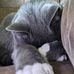 Jacqueline Rich Masters - Facebook