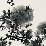 Jacqueline Maus - @jacquelinegoodcat - Instagram