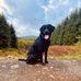 Jacqueline McCallum - Facebook