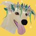 Jacqueline McCarter - Facebook