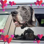 Jackie McCombs - Facebook