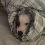Jacqueline Mcfarlane - @mcfarlanejacqueline - Instagram