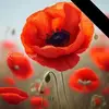 Jacqueline Mcfarlane - @jacqueline.mcfarl4 - TikTok