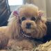 Jacqueline McGrath - Facebook