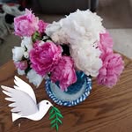 Jacqueline Mchenry - @mchenry7819 - Instagram