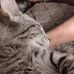 Jacqueline Mchenry - Facebook