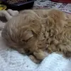 JACQUELINE MEDRANO - @jacqueline.medran2 - TikTok