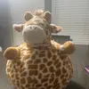 jacquelinemedrano1234563 - @jacquelinemedrano1234563 - TikTok