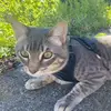 meet_jacqueline - @meet_jacqueline - TikTok