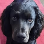 Jackie Messenger - Facebook