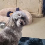 Jacqueline munro - @munro6034 - Instagram