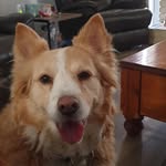 Jacqueline Munro - @munro.jacqueline - Instagram