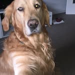 @jacqueline.nix1808 - Instagram