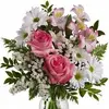 Oakes Jacqueline - @oakes.jacqueline - TikTok