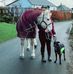Jacqueline O'Donnell - Facebook