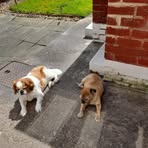 Jacqueline Ogden - Facebook