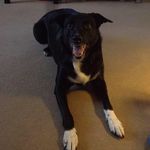 Jacqueline Ogden-Duffy - @jacquelineogdenduffy - Instagram