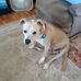 Jackie Padgett - Facebook
