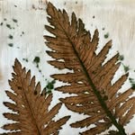Jacqueline Pendleton - @jacqui.ceramics - Instagram