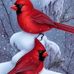 Jackie Silcox Perryman - Facebook