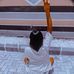 Jacqueline Peter - Facebook