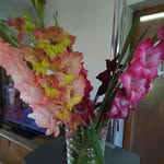 Jacqueline Petit - @jacqueline.petit.1042 - Instagram