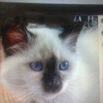 Jacqueline Petit - @jacqueline.petit.3914 - Instagram