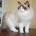 Jacqueline Petit - Facebook
