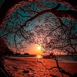 Jacqueline Petit - @petit4546 - Instagram