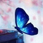Jacqueline Petit - @jacot63 - Instagram