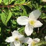 Jacqueline Petry - @petry6698 - Instagram