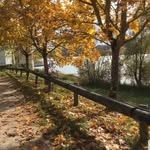 Jacqueline  Picard - @picard660 - Instagram