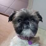 jacqueline picard - @jacqueline_picard - Instagram