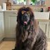Jackie Pickering - Facebook