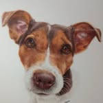 Jacqueline Pickering Verwer - @jacqueline_verwer_art - Instagram