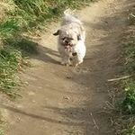 Jacqueline Poole - @poole.jacqueline - Instagram