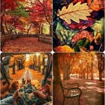 Jacqueline Prieto - @jacqueline.prieto.52 - Instagram
