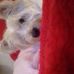 Jacqueline Raines - Facebook