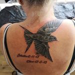 Jacqueline Read - @jacquelineread8 - Instagram